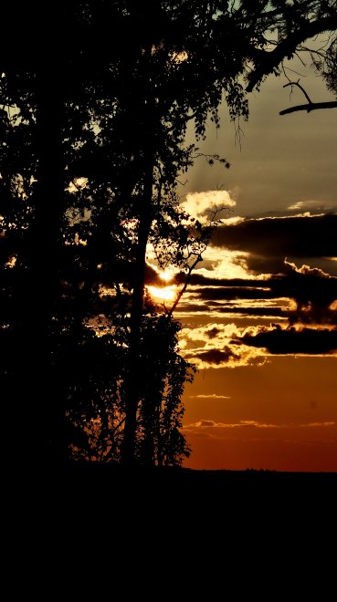 Тени вечности -  