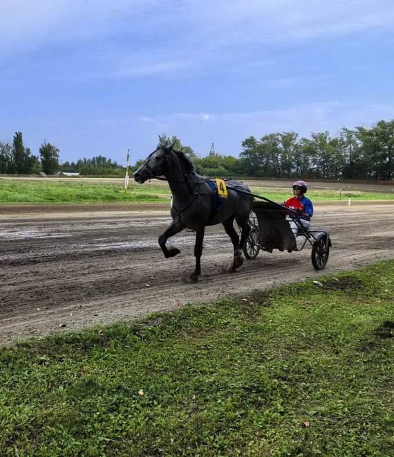 Летний архив эстетики -   (1/7)