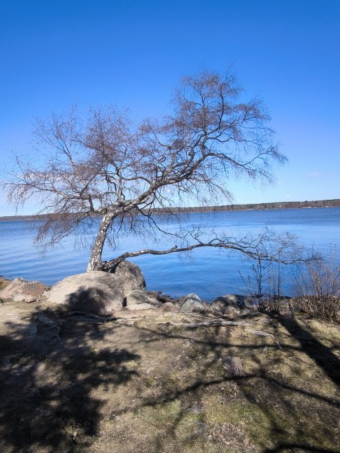 Безмятежность -  