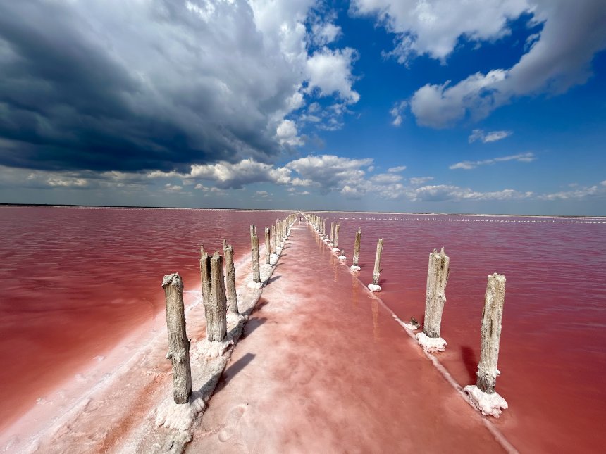 Розовый путь к горизонту - Карина