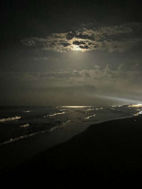 Путешествие в горы Кавказа -   (1/8)