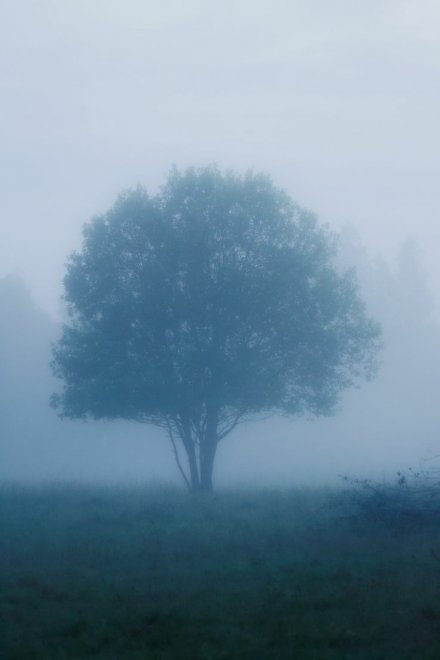 Туман - Валерия