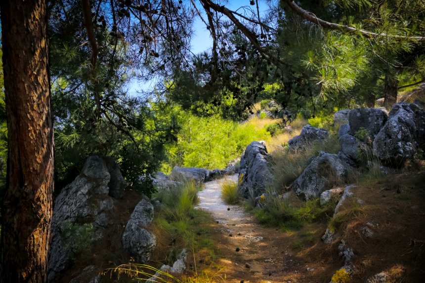 Адыгея. -   (1/8)