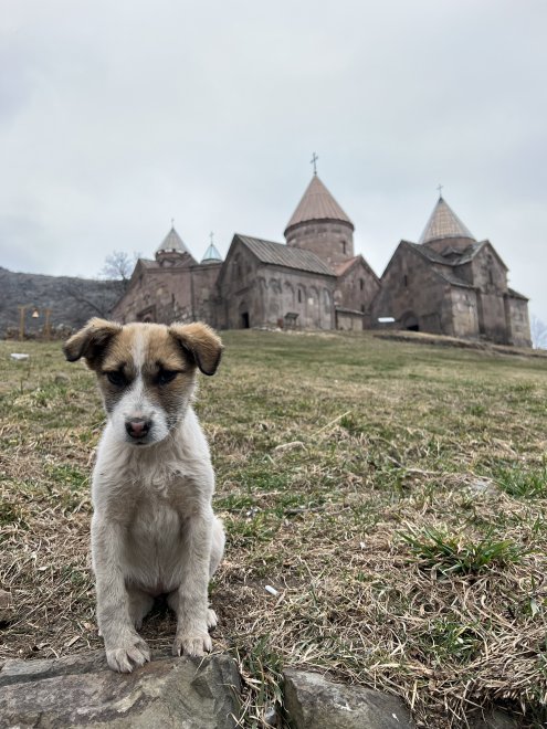 В Армении - Ирина