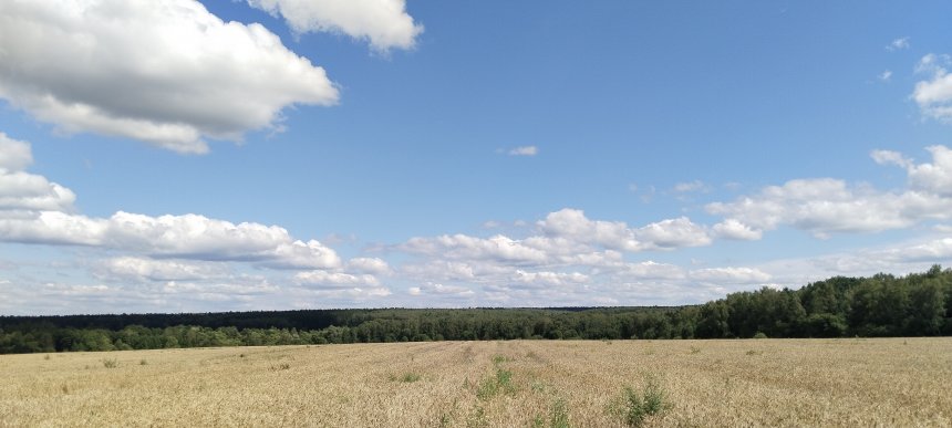 Море колосьев - Дмитрий