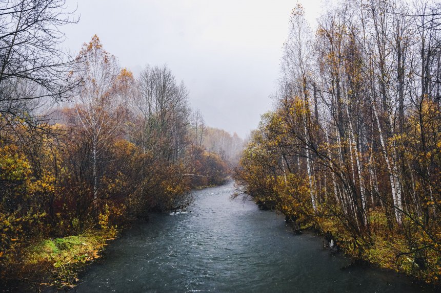 Река в осеннем лесу -  