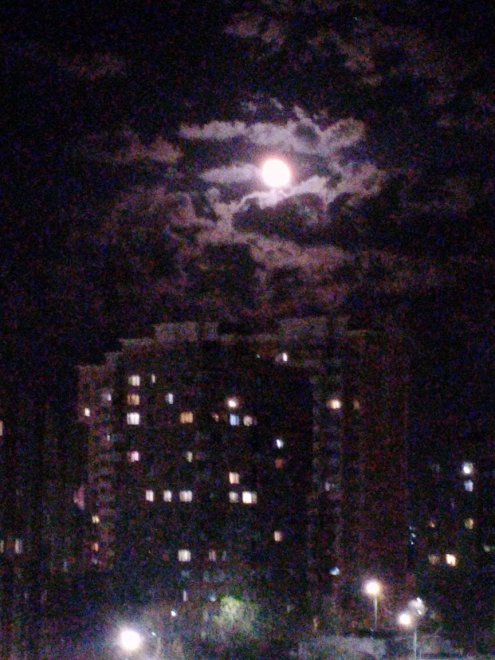 Луна в обьятиях ночного города -  