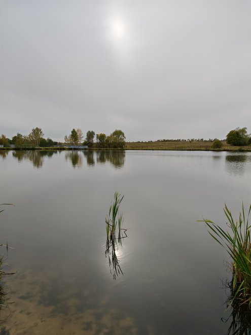 Тишина - Кира Береснева