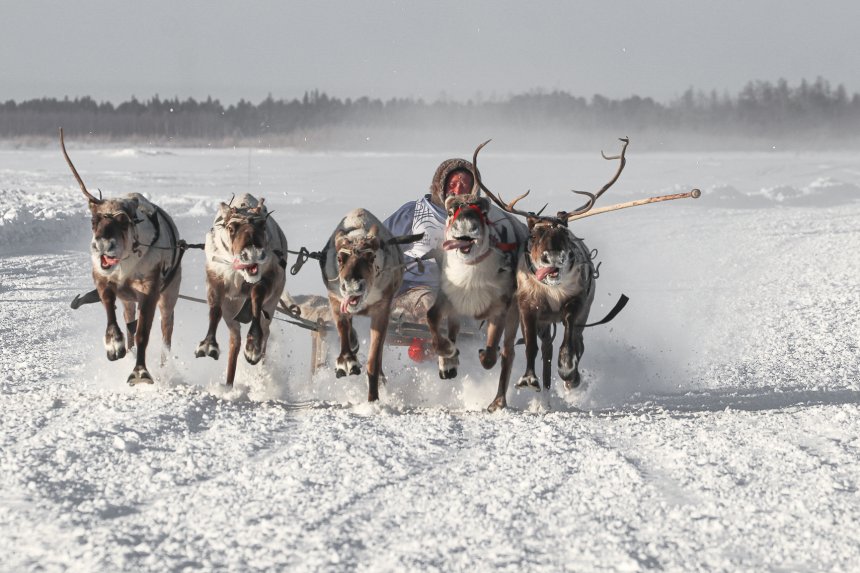 Гонки каюров -   (1/8)