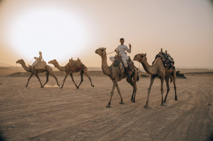 Жизнь египетских бедуинов -  