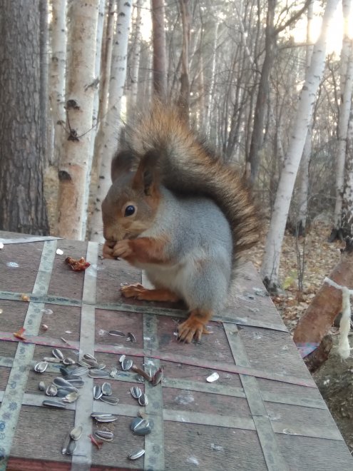 Повезло! - Светлана