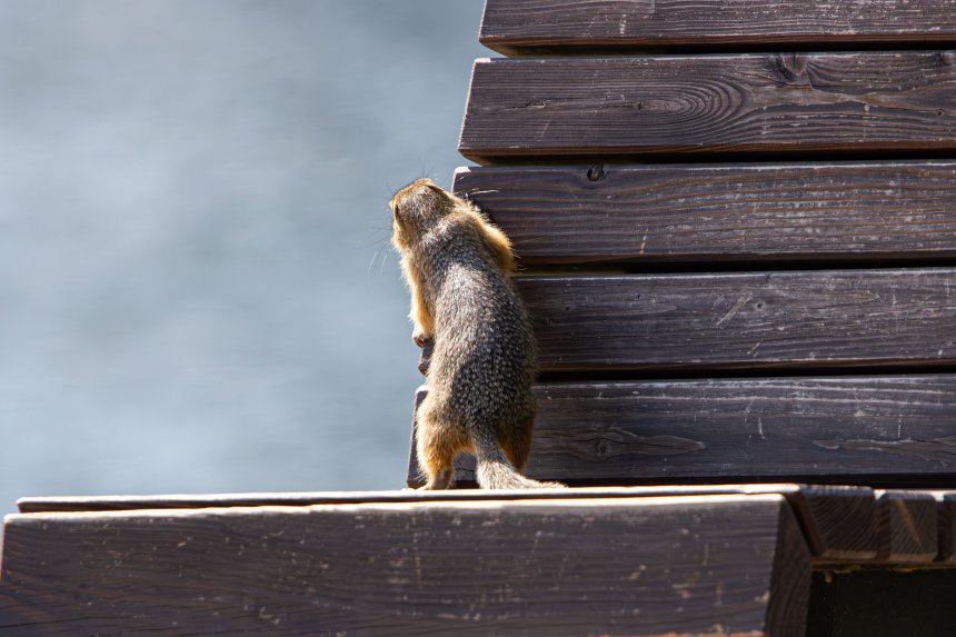 Вглядываясь в туман будущего -  