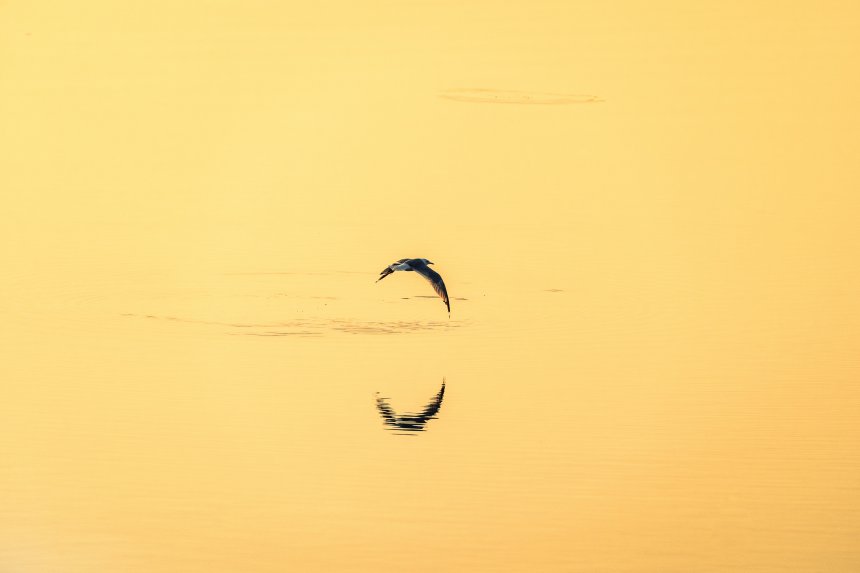 Рассвет на Волге. - Александр Степанов