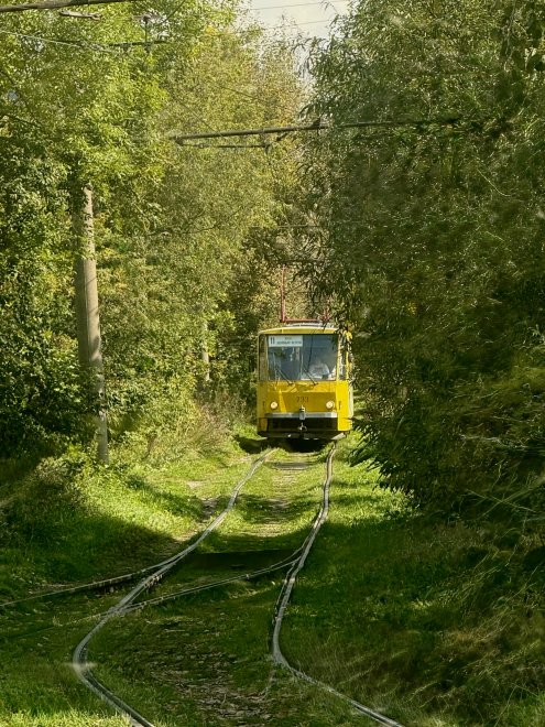 Трамвай  в лесу -  