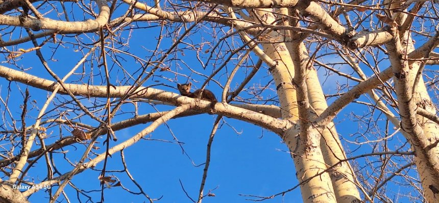 Отдых Соболя! - Сергей