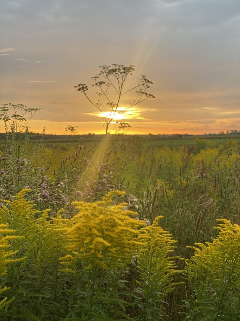 Закат в деревне -  