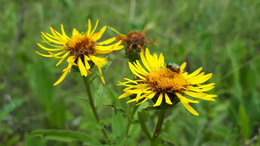 Источник силы -  