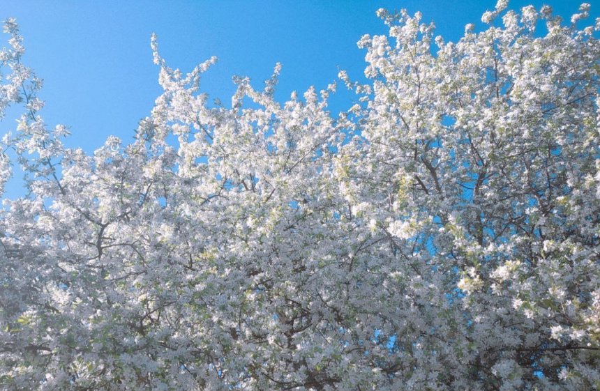 Шёпот сердца - Анна Огородникова