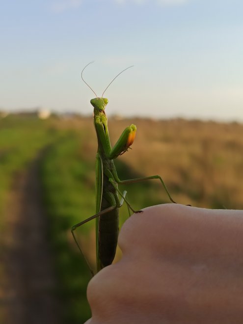 Общение с природой - Алсу