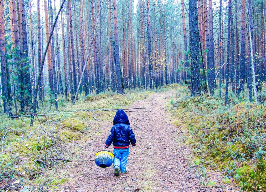 мы ходили по грибы - Оксана (1/4)