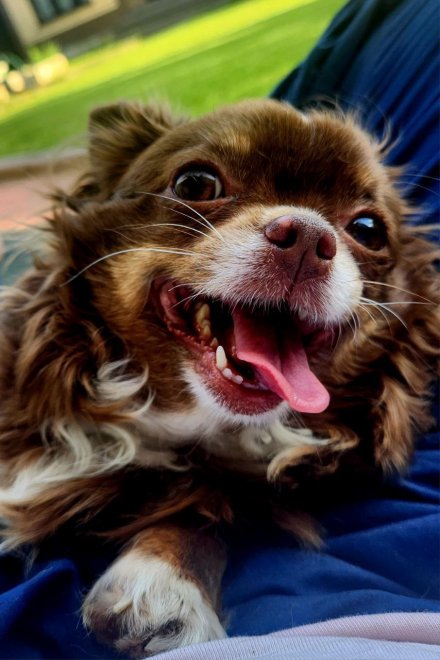 Счастье - Ирина