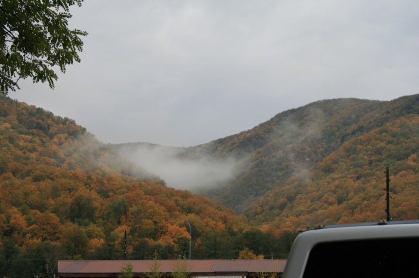 Золотая осень Геленджика -   (1/8)