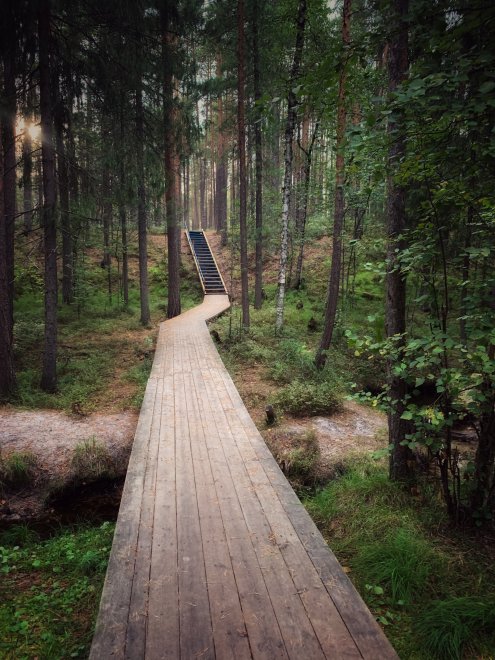 Освященный родник - Алеся (1/3)