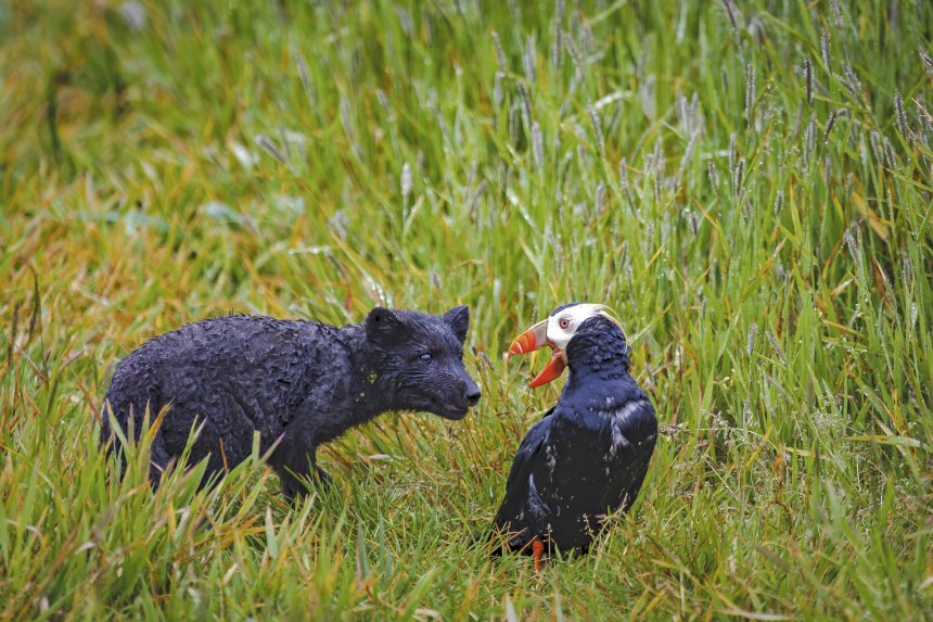 А я тебя клюну - Дмитрий Уткин