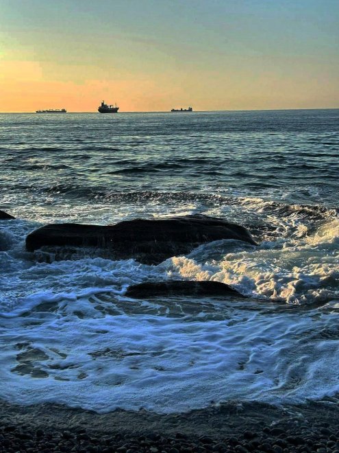 Воды Японского моря -  