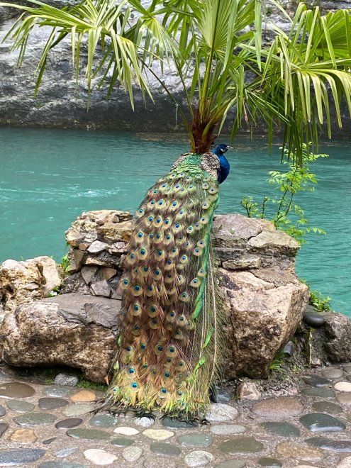 Удивительная Абхазия! - Нурия (1/5)