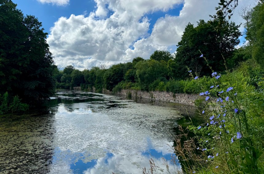 Природная гармония -  