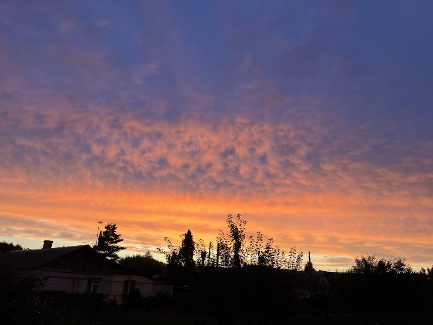 Вечерний закат - Елизавета