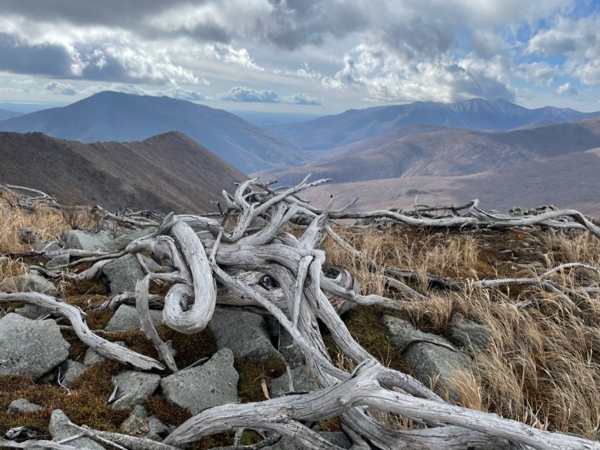 Джаки Скалистая - Татьяна