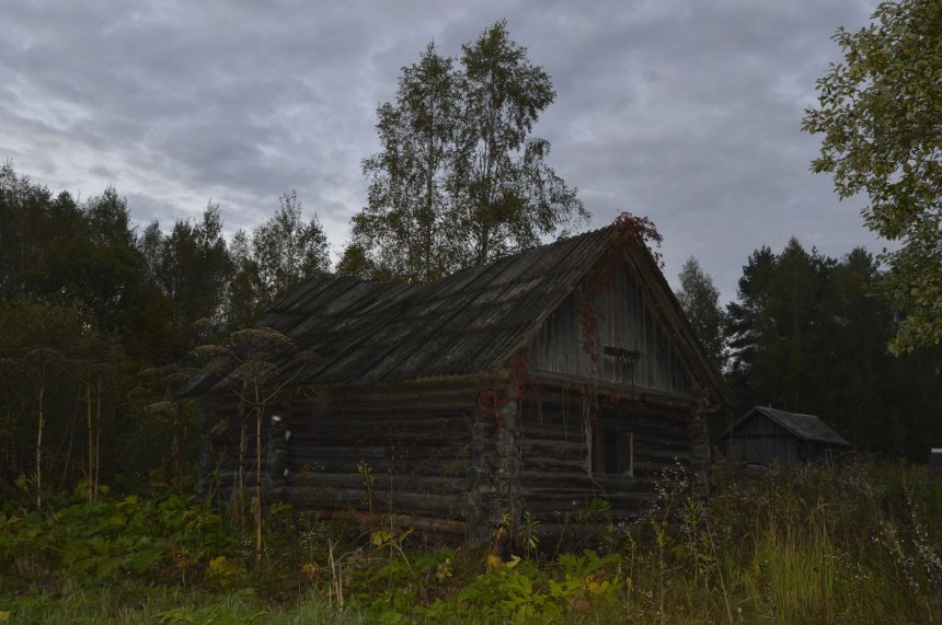 Назад в прошлое - Дарья Казакова