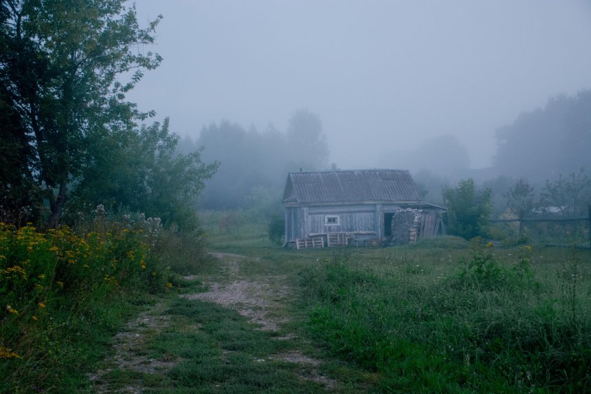 Туманное утро - Варвара