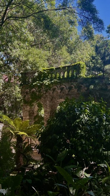 Краски природы - Анастасия