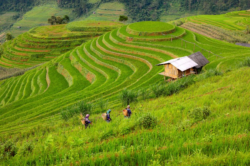 С Севера на Юг Вьетнама - Надежда Николаева (1/8)