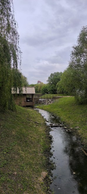 Тихий омут - Наталья Батюкова