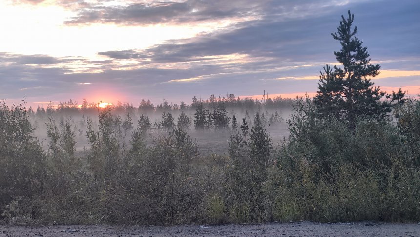 Утро в тундре - Лидия Подыганова