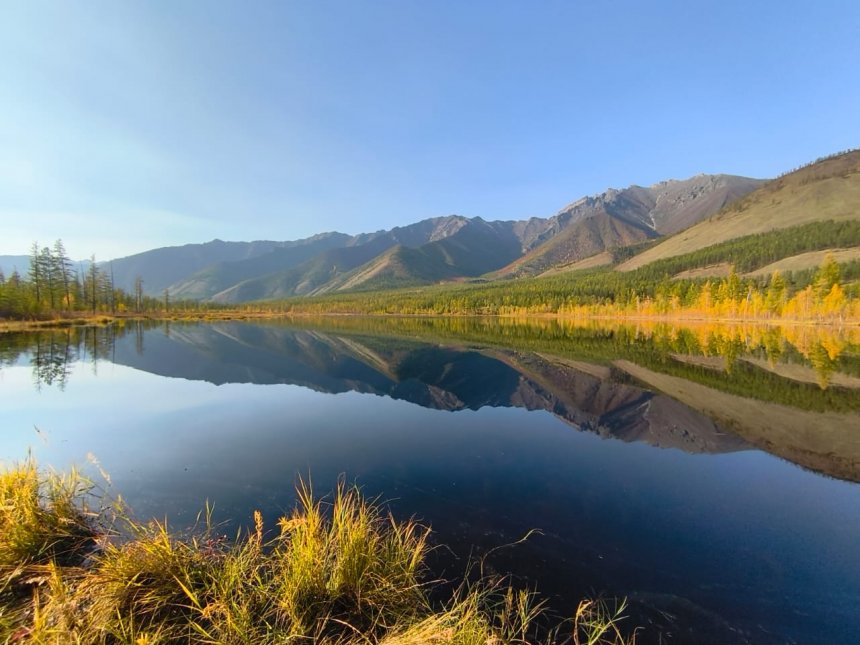 Красота родины - Ангелина Старкова