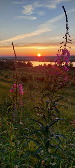 Рассвет на родине Есенина - Анна