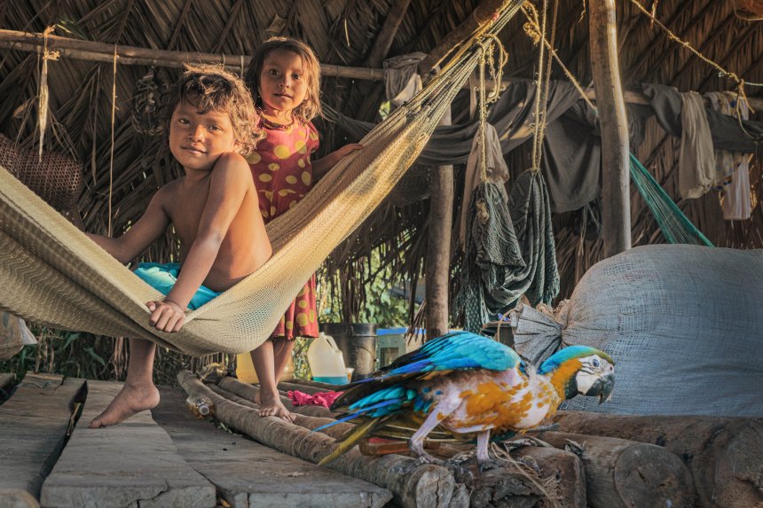 Дети Варао - Сергей Шандин