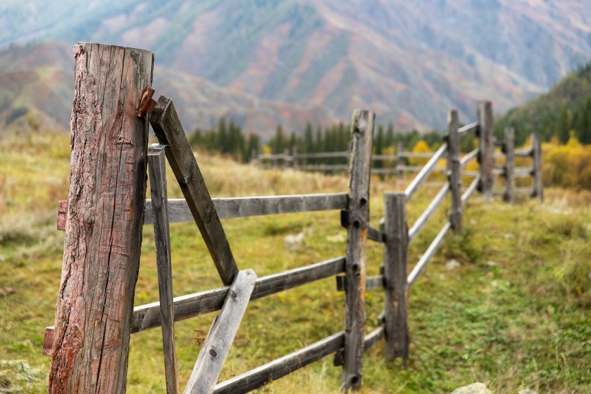 Чуйский тракт - Некрасова Ольга Михайловна (1/5)