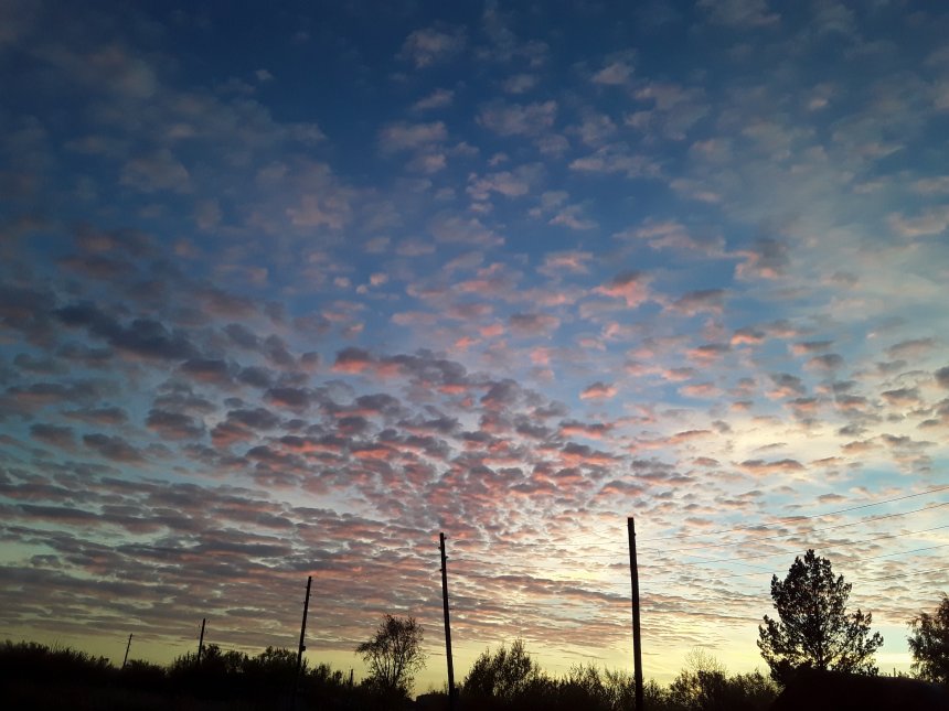 Небесное стадо - Татьяна