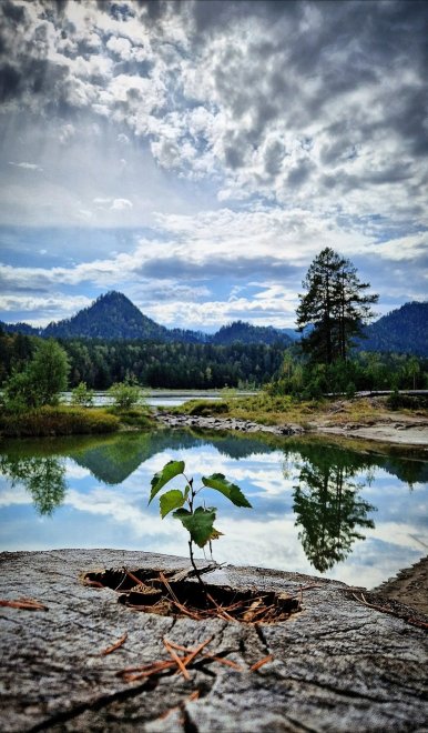 Жизнь - Екатерина