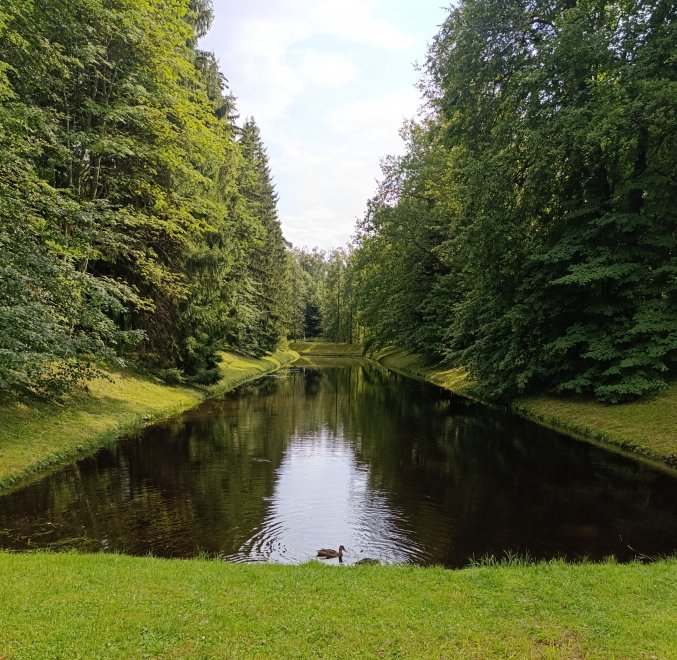 Прекрасная перспектива / A wonderful prospect - borschevaElen9861@yandex.ru Борщева