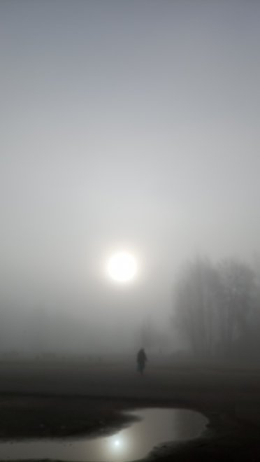 Волшебное утро. - Домоховская Татьяна Владимировна