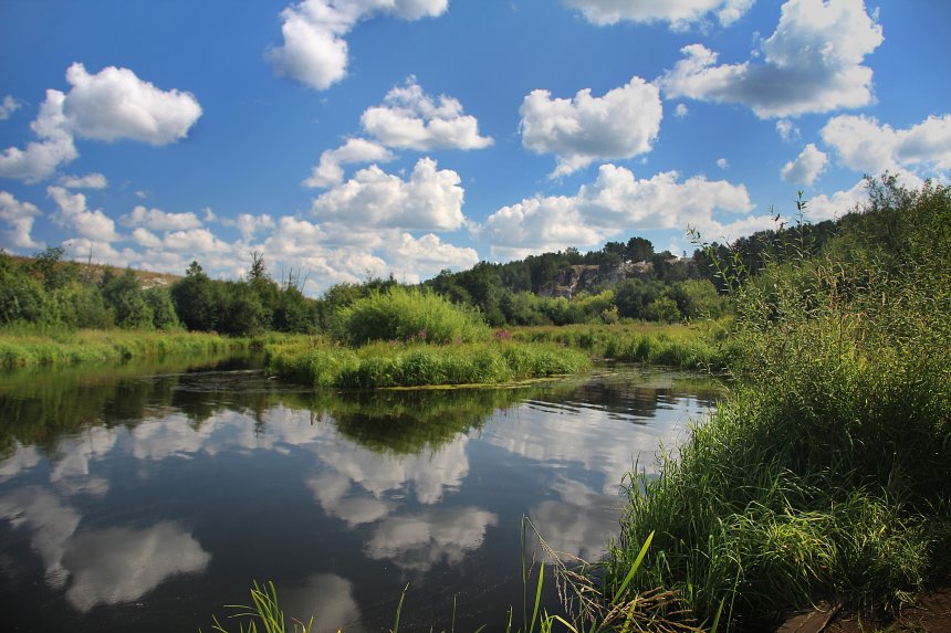 Летний день -  