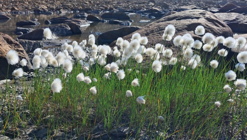 Полярный урал - Наталья (1/5)