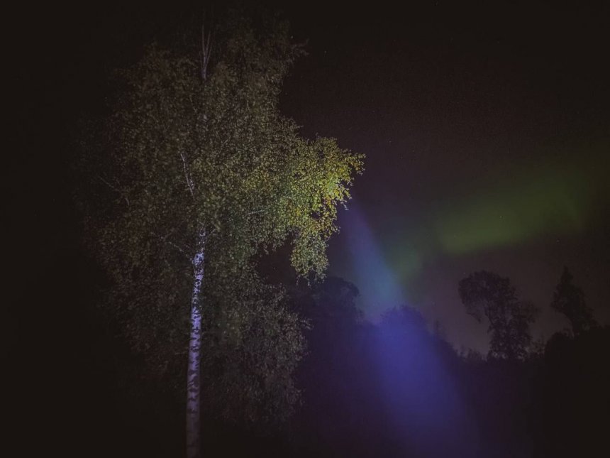 Northern lights -  